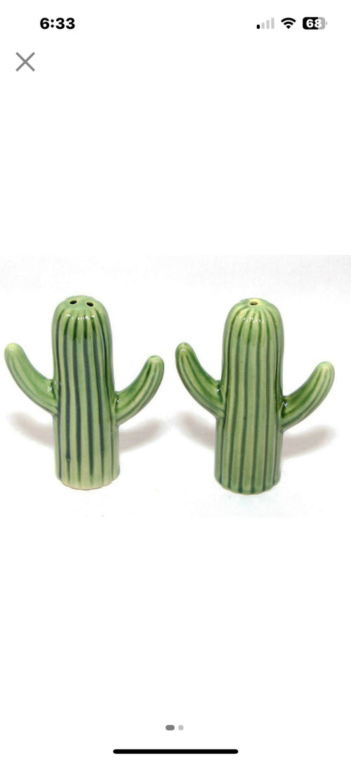 Jha Ji Ceramics Salt and Pepper | Seasoning & Spice Shakers |Cactus Set Holder Dispensers Pepper Condiment 2 Pcs | (Green)